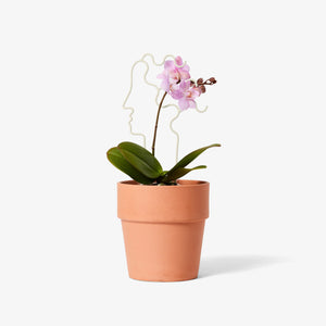 Mini Plant Trellis
