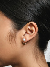Load image into Gallery viewer, Fraser Earrings in Gold