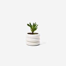 Load image into Gallery viewer, White Tall Stacking Planter