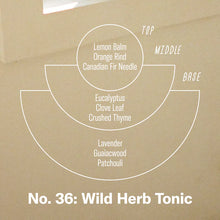 Load image into Gallery viewer, Wild Herb Tonic Standard Candle
