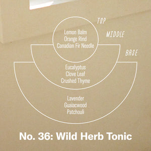 Wild Herb Tonic Standard Candle